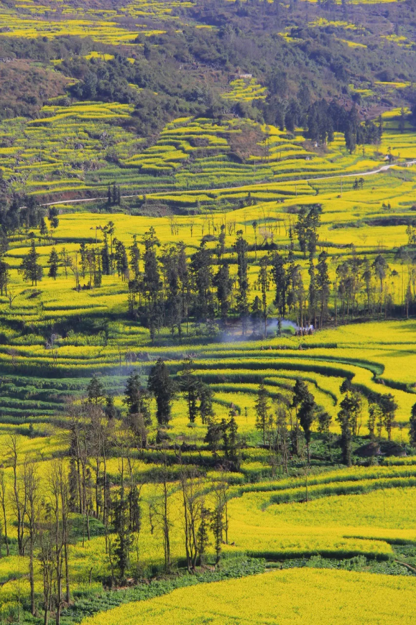 國內最容易出片的12個地方，風景如畫，隨手一拍都是大片