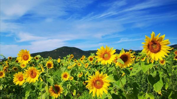 當你負債累累時，想要“鹹魚翻身”，需要學會這“四個穩”