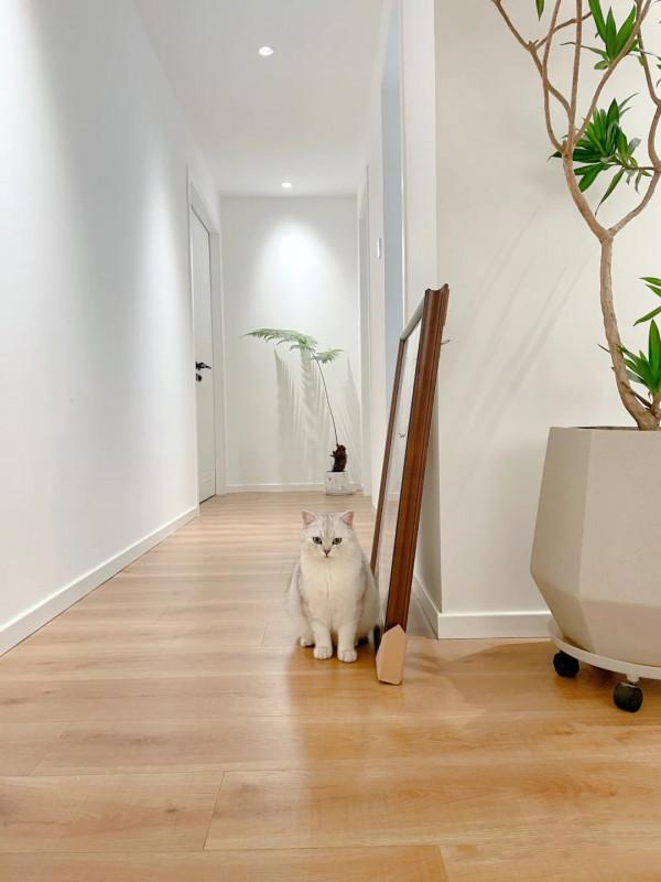 再買房，就照她家這樣裝，全屋大白牆、無主燈，乾淨利落，好舒服