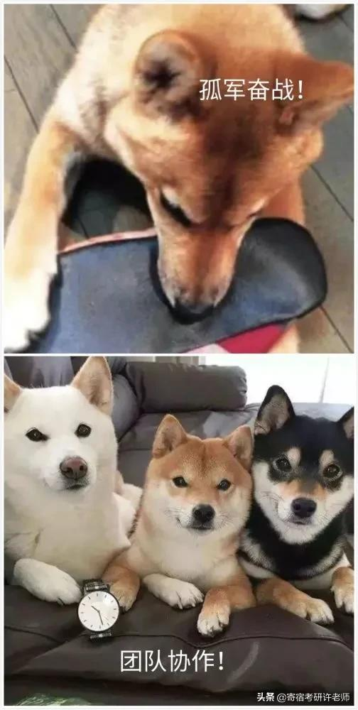 考研前後大比拼，快看看像不像拼搏的你