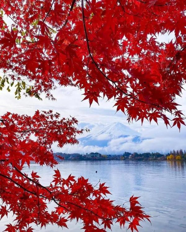 領略風景如畫的日本風光