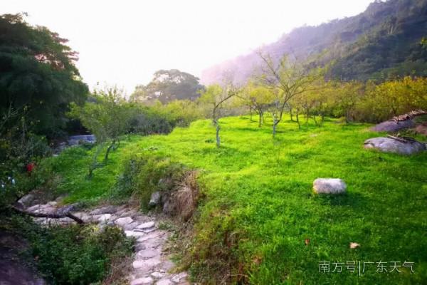 去旅遊嗎？新興天然氧吧的那種