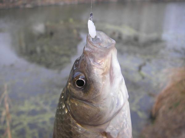 不是聳人聽聞，這些釣點真的很危險，為了安全，請遠離這些位置
