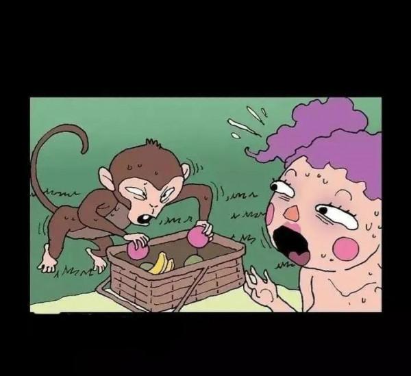 無聲漫畫——《猴子》 無聲漫畫——《猴子》