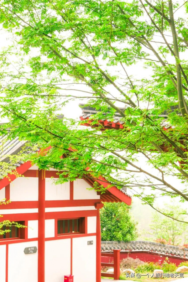 李子柒“隱居”地公開，這座比成都還安逸的城市，究竟是什麼地方