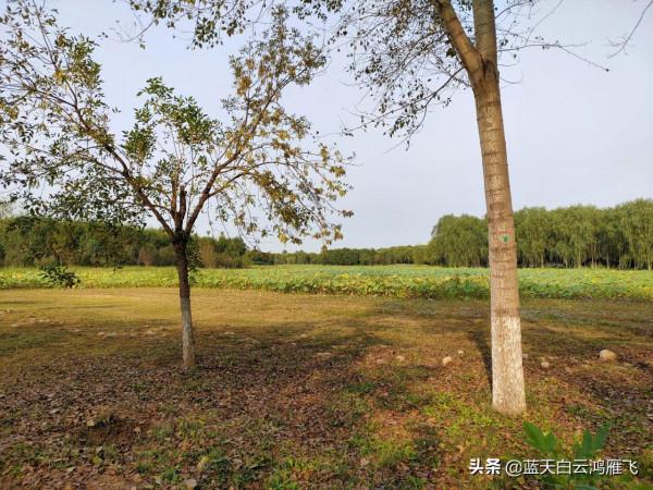 小姨父,外甥女 小姨父,外甥女