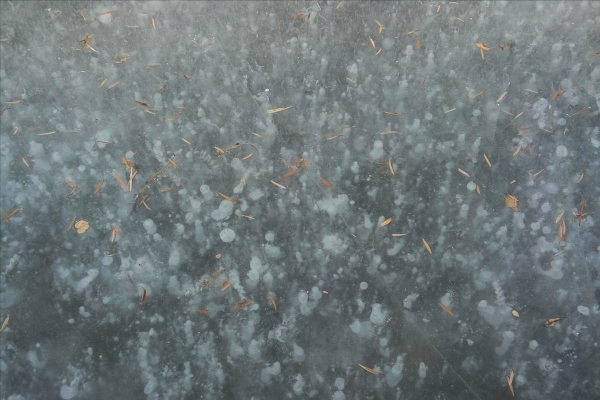 新年，很開心的一天