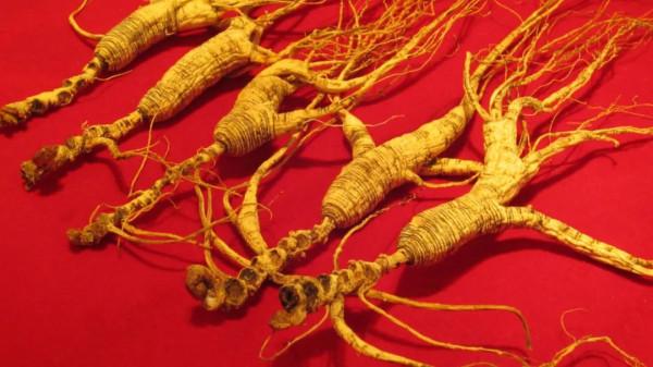 俗話說,“脾胃虛弱百病生”,中醫泰斗張錫純,兩種方法調養脾胃 俗話說,“脾胃虛弱百病生”,中醫泰斗張錫純,兩種方法調養脾胃