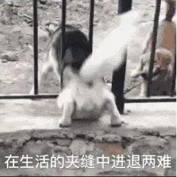 全職媽媽在家做自媒體問答 收入竟然比老公還高 全職媽媽在家做自媒體問答 收入竟然比老公還高