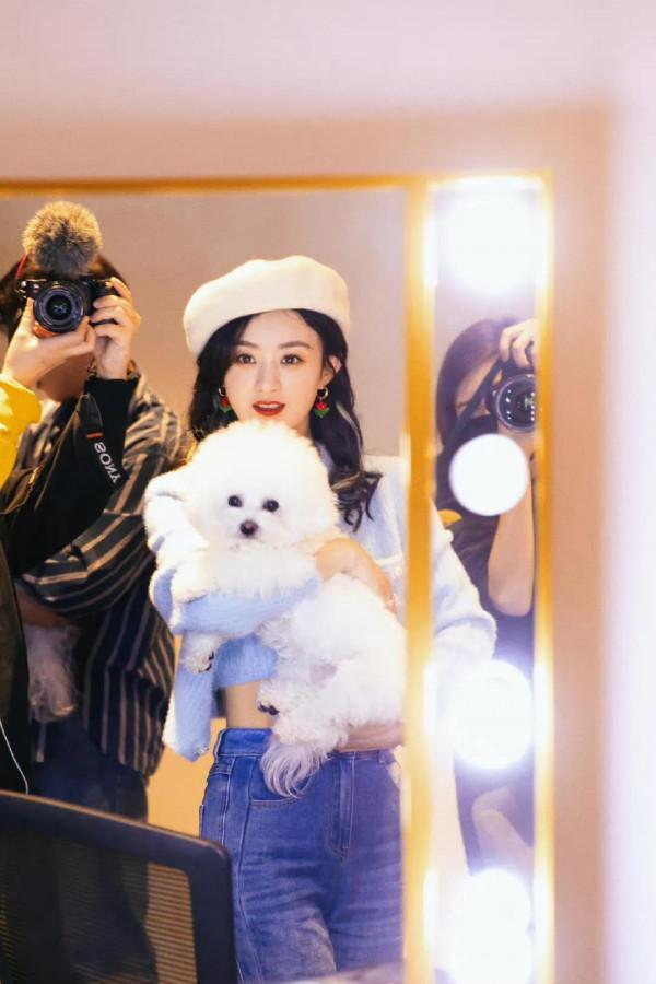 趙麗穎拍攝妻子的秘密的時候把毛球帶回家，如今已經陪伴穎寶十年