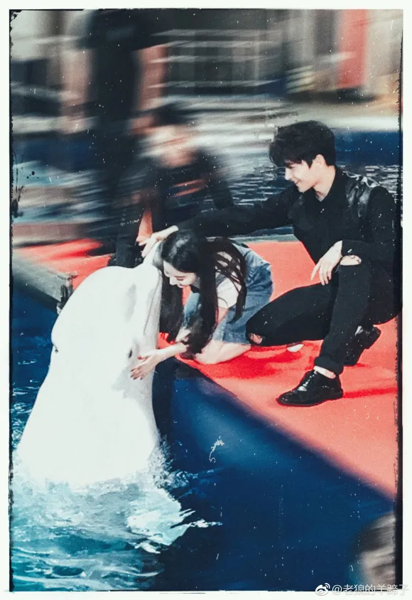 劇中CP｜楊洋劉亦菲三生三世