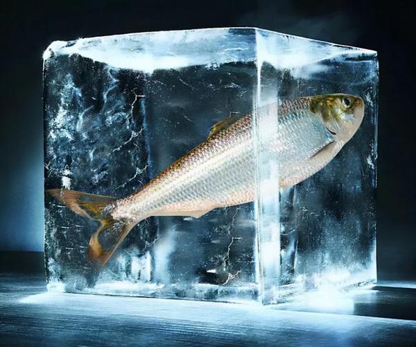 泰國&#39;重生&#39;實驗：泰國夫妻花50萬冷凍女兒遺體，想在未來讓她復活