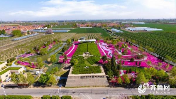 山東計劃到2025年建成20個考古遺址公園 推動更多文保單位對外開放