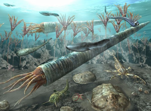 地球霸主恐龍為何會滅絕？專家分析墨西哥巖芯樣本，解開謎團