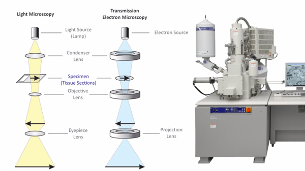顯微鏡將物體放大數百萬倍，為什麼物體成像不會模糊、失真？