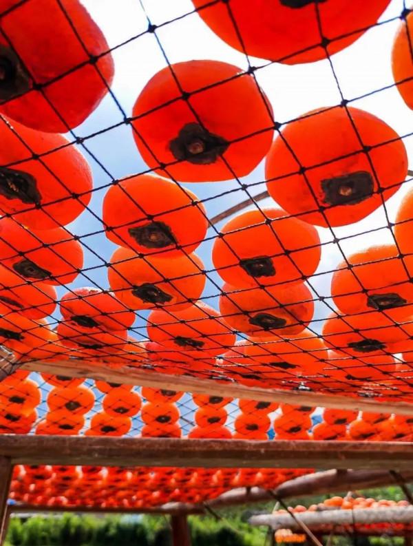 成年人玩得這麼野，小心把命都玩丟了