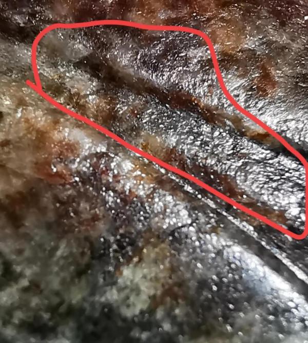 非常漂亮高古紅沁知了皮殼所表現的無法可仿本質特徵，跟仿品比較