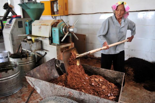 農村榨油用油枯抵加工費,誰是獲益方?油坊收取的油枯有何用途 農村榨油用油枯抵加工費,誰是獲益方?油坊收取的油枯有何用途
