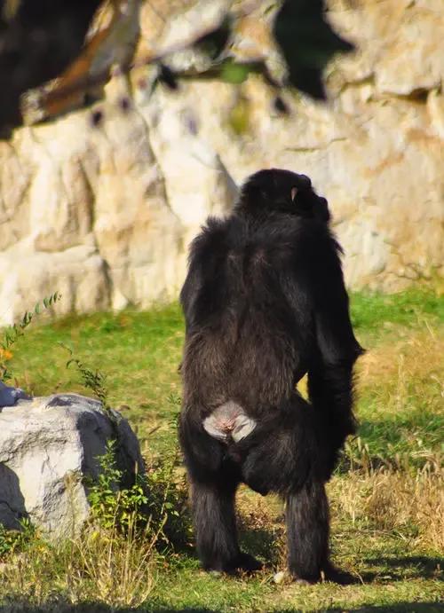 你不知道的運動健康冷知識