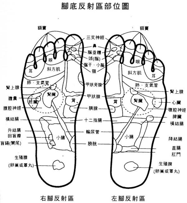 穴位療法為什麼能夠治病？到底管用嗎？中醫解讀“穴位治病”