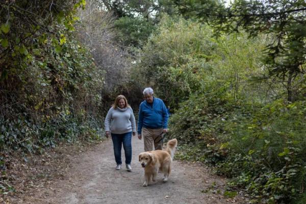 430萬工人不見了，他們去哪了？