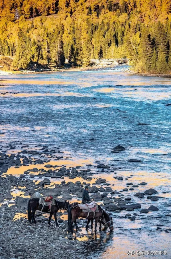 第一次去新疆怎麼玩！花了1個月總結出的保姆級攻略送上