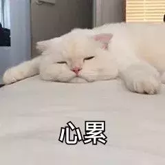 總是懷疑孩子是不是有多動症？其實真正的多動症是這樣的……