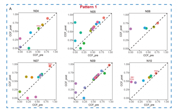 中國研究：PI3K/AKT通路的啟用是小細胞肺癌治療耐藥的潛在機制