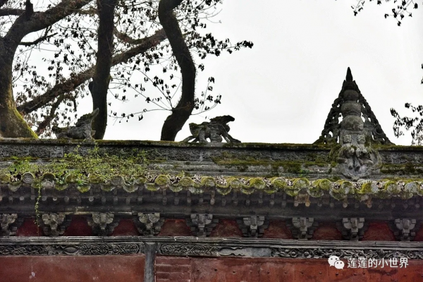 尋古蹟的蓮蓮:神秘洞穴 | 古郪國消逝後的郪江崖墓群 尋古蹟的蓮蓮:神秘洞穴 | 古郪國消逝後的郪江崖墓群