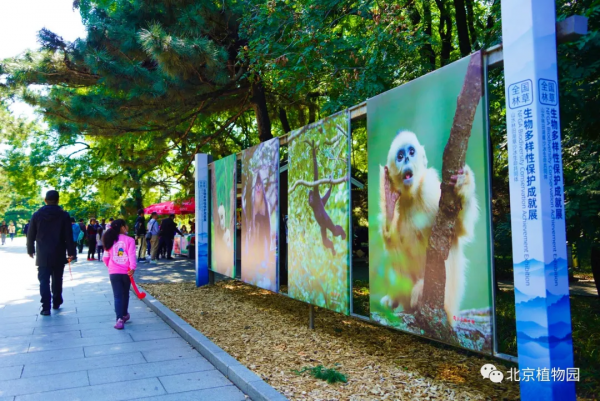 橙黃橘綠時,與您共相約 橙黃橘綠時,與您共相約