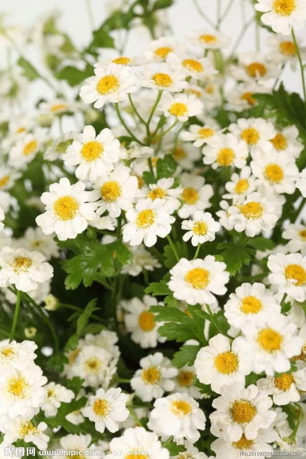 護眼六衛士（一）