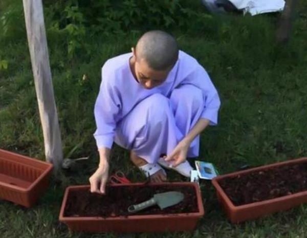 提幫功：長相神似泰王，雖生母被廢，智力也有缺陷，卻始終受寵