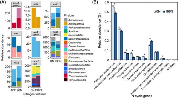 長期過量施用氮肥增加了土壤微生物群落對季節變化的敏感性