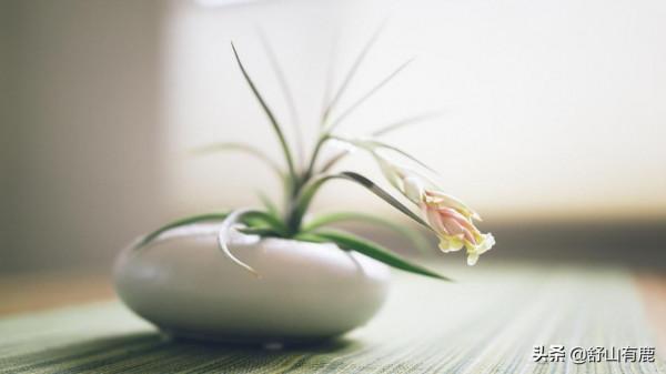 總有一天你會明白,你所遭受的苦難,都是上天對你的“考驗” 總有一天你會明白,你所遭受的苦難,都是上天對你的“考驗”