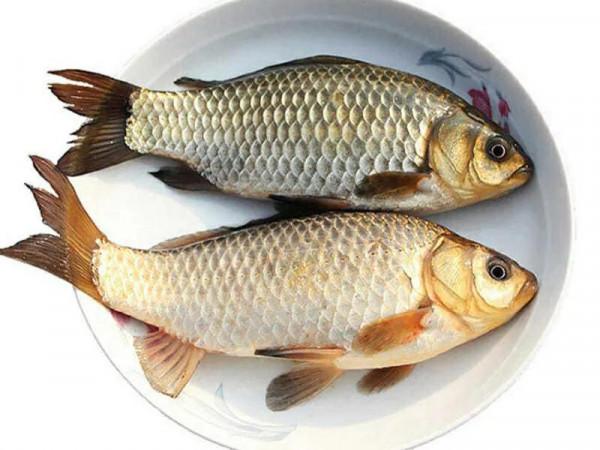 入冬後女人懷孕記得吃5種魚,忌食1種魚,吃對了身體才會棒棒噠 入冬後女人懷孕記得吃5種魚,忌食1種魚,吃對了身體才會棒棒噠