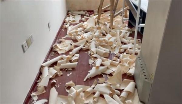 24歲的她，憑藉自己努力買下40㎡小家，將空置半年的小屋徹底翻新