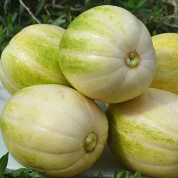 十大農產品別名