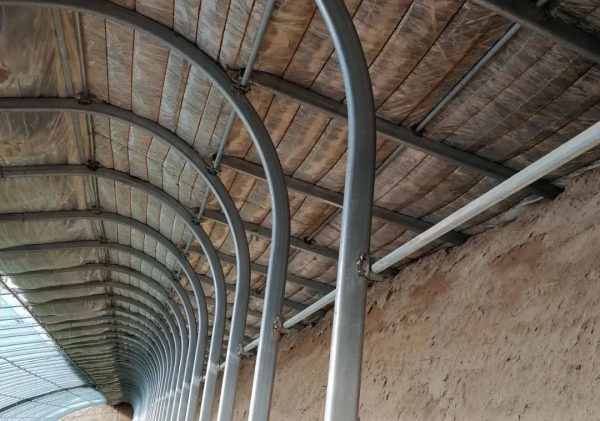 甘肅日光溫室探秘！哪種牆體和骨架最“流行”？哪種造價最划算？