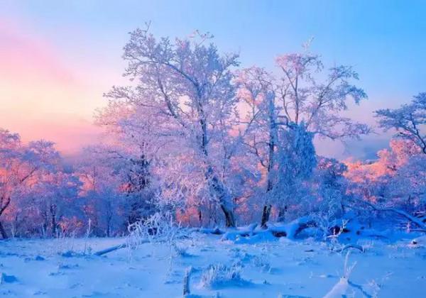 雪鄉，這才是中國最美的冬天