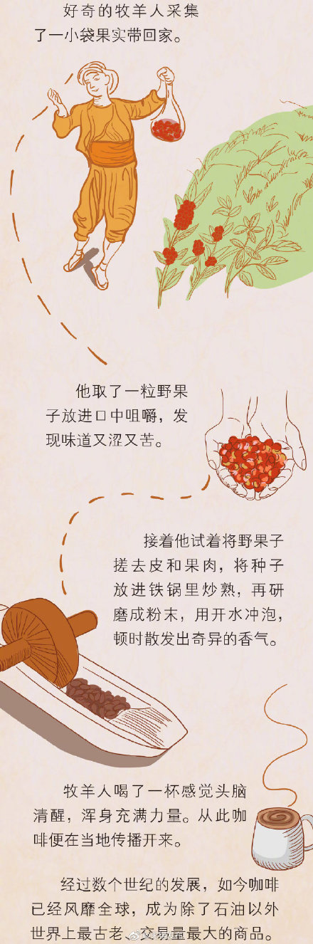 長期喝咖啡的人身體強在哪?一顆咖啡豆的逆襲 長期喝咖啡的人身體強在哪?一顆咖啡豆的逆襲