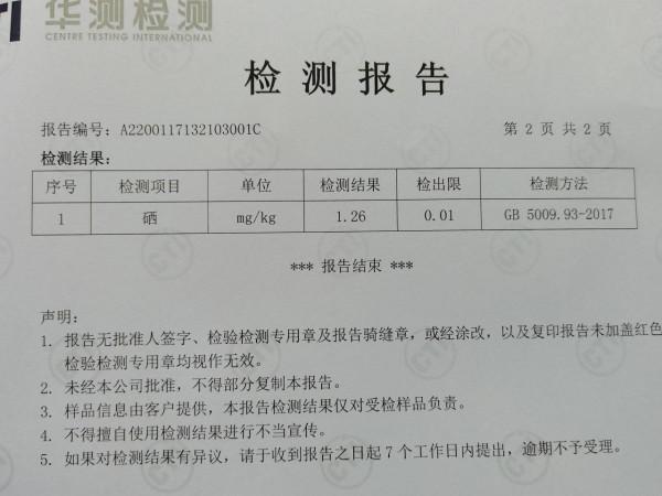 陽嶺，山中有好茶