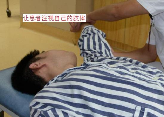 深入瞭解PNF下肢運動模式 深入瞭解PNF下肢運動模式