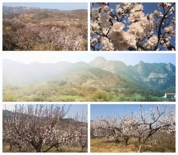 翔海地產：龍口常勝，一個必去的水墨絕美之地