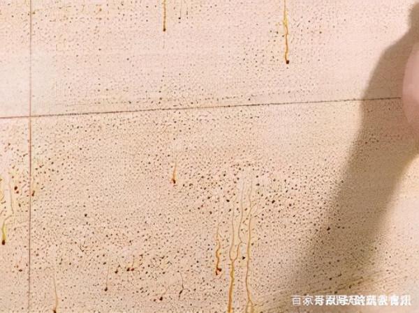 建議大夥：若不差錢，儘量給家裡添置這4樣東西，&OpenCurlyDoubleQuote;幸福感&rdquo;倍增