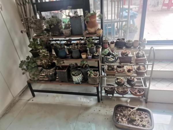 為了過年,拼盡全力去減肥!打卡第六天 為了過年,拼盡全力去減肥!打卡第六天