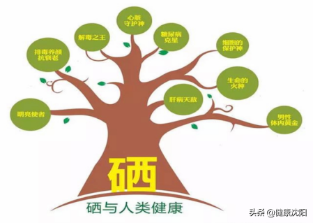 健康科普堂 | 小“硒”作用大，治“甲”作用佳