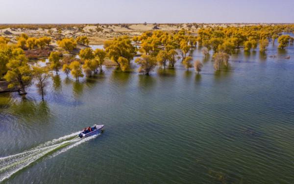 溼地秋韻入畫來 溼地秋韻入畫來