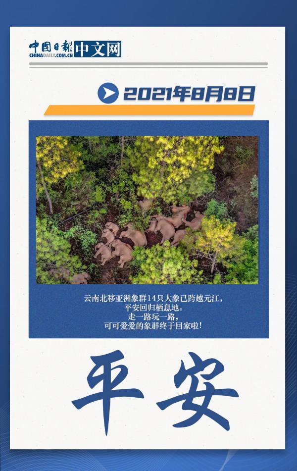 2021，那時那事那些人