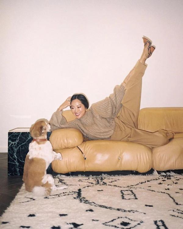 可惡,又被41歲的全智賢“裝”到了 可惡,又被41歲的全智賢“裝”到了