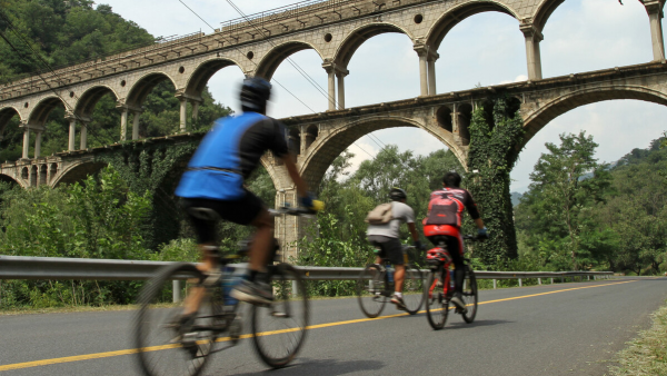 過了腰疼急性期，別忙著鍛鍊，先把這些運動方式剔除掉